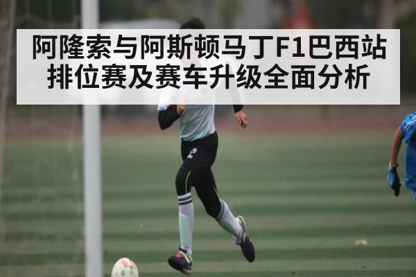 阿隆索与阿斯顿马丁F1巴西站排位赛及赛车升级全面分析